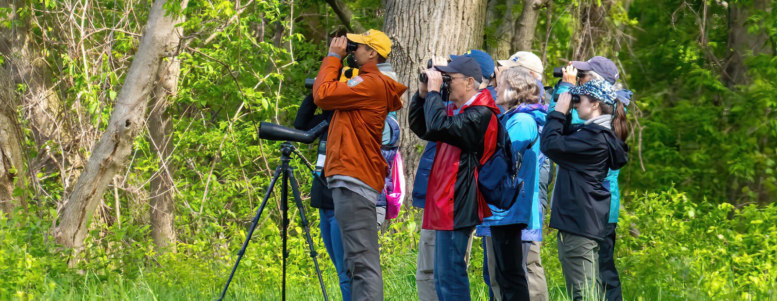 They’re back. It’s that time of year and if you’re very quiet, sometimes you can find groups of birders in some of the area parks.