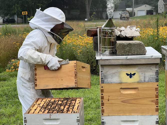 Ohio's backyard beekeeping is a-buzz