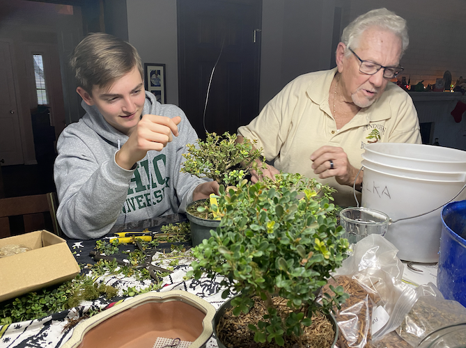 Our family is no stranger to the art of the Bonsai Tree, as we hosted Sandusky Bonsai Club member Paul Decker in our home a couple of years ago to teach us the art form.