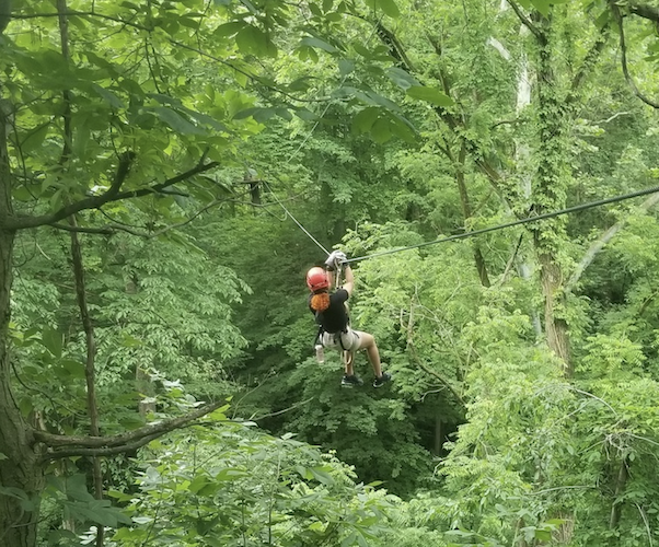 Common Ground Canopy Tour 