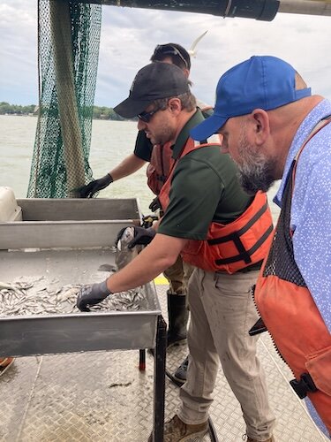 Matt Faust, (left), Fisheries Biologist II at the Sandusky Fisheries Research Station, shows passengers young fish caught during a trawl on Fish Ohio Day.