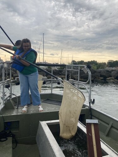 Carolyn May drops a freshwater drum, also called a sheepshead, she netted during the electrofishing demonstration into a holding tank during Fish Ohio Day.