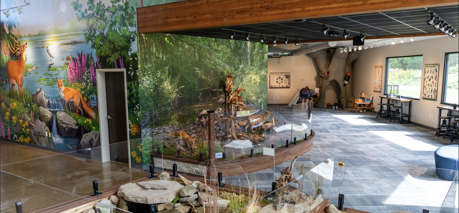 An interior view of exhibits in the Roger Johnson Nature Center