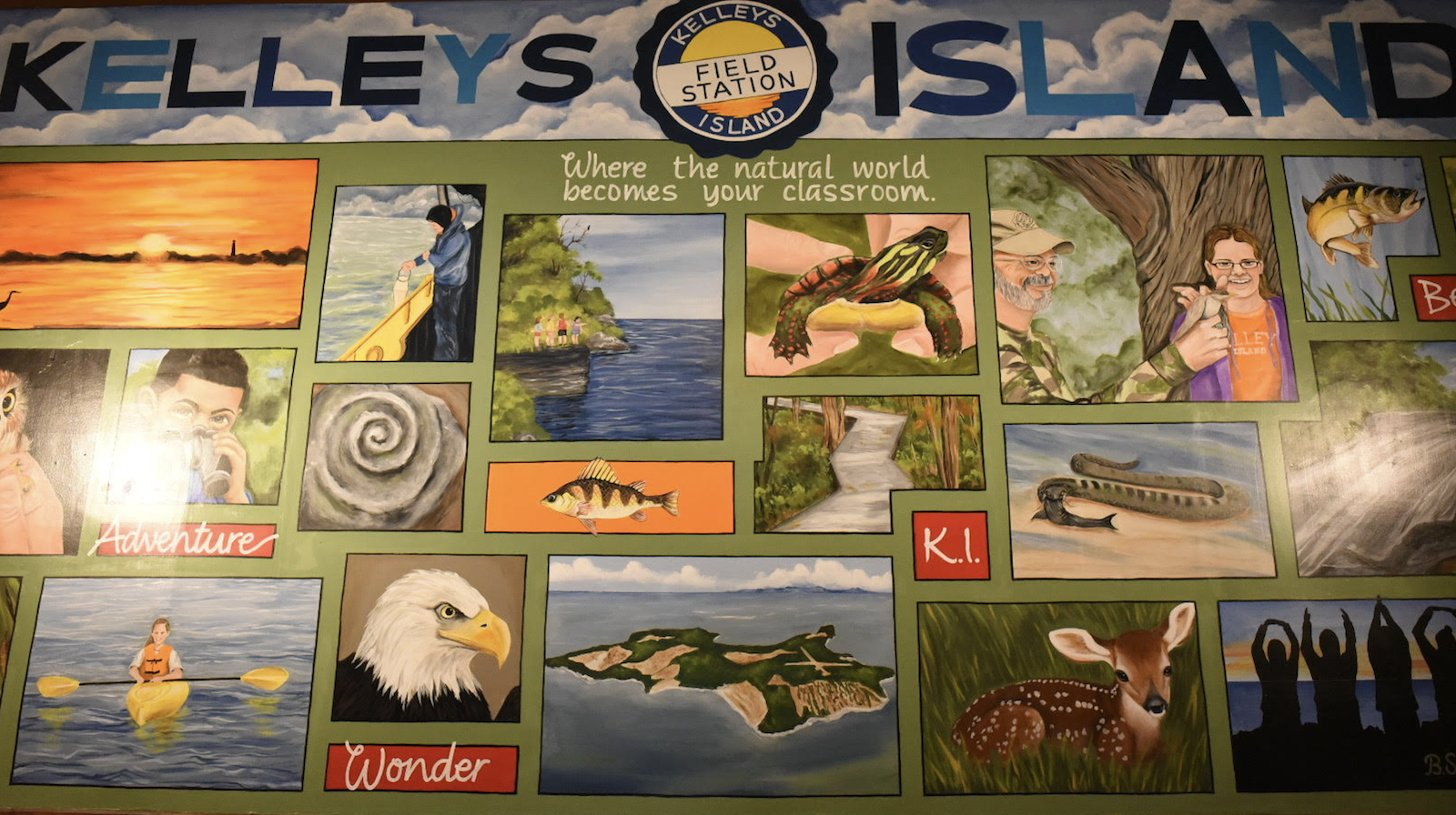 The Kelleys Island School and Field Station provides plenty of STEM programming for other Ohio schools, educating students and educators on geology, ecology, ornithology and more.