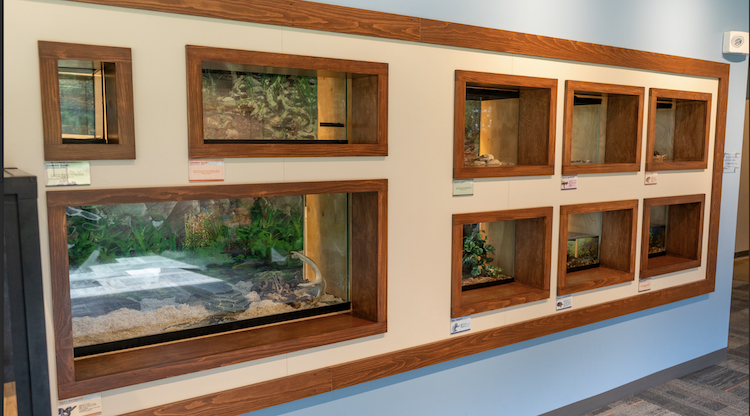 The nature center includes a wall of animal exhibits.