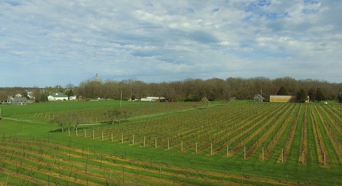 Duff Vineyards