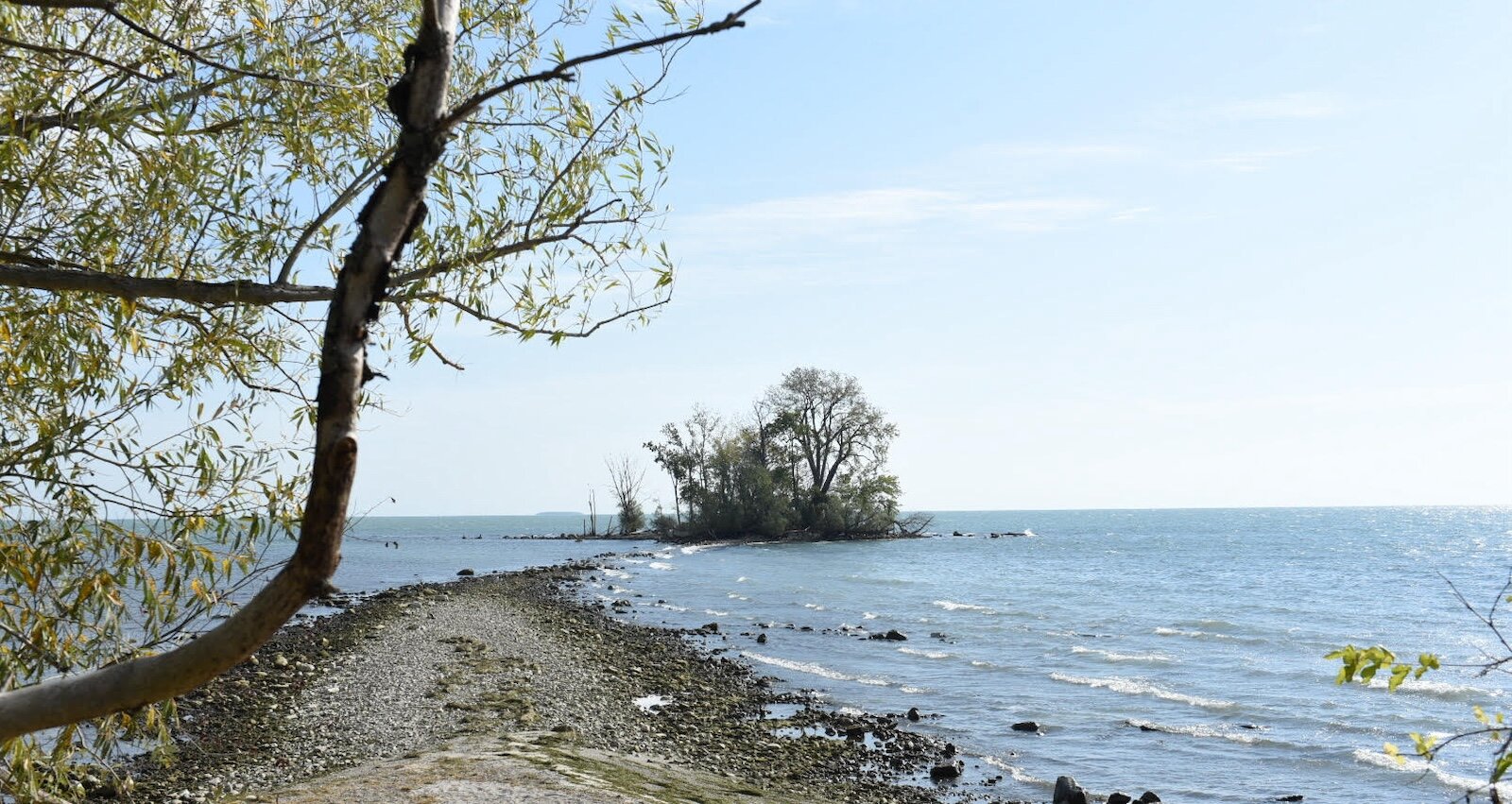 Scheeff East Point Preserve on South Bass Island is one of 13 options to hike on the Park District of Ottawa County’s second annual free fall hiking challenge.